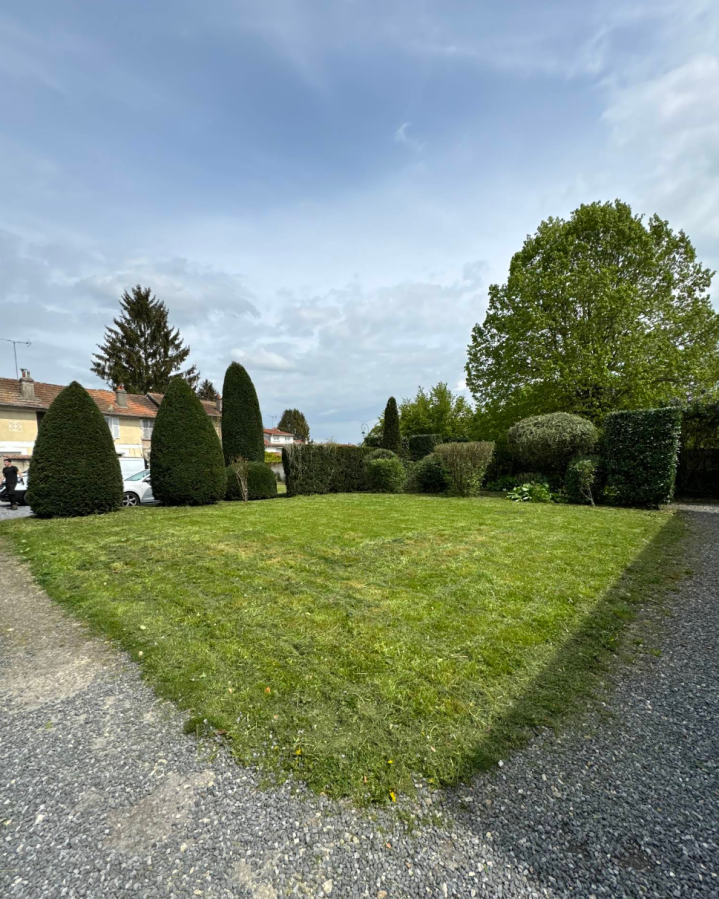 Taille d'arbuste Bussy-Saint-Georges 