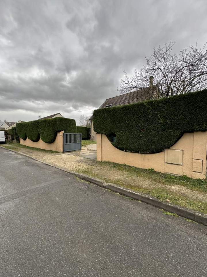 Taille de haies Bussy-Saint-Georges