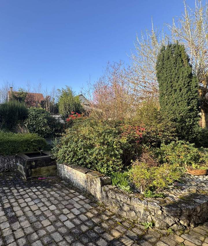 Abattage d'arbres Bussy-Saint-Georges