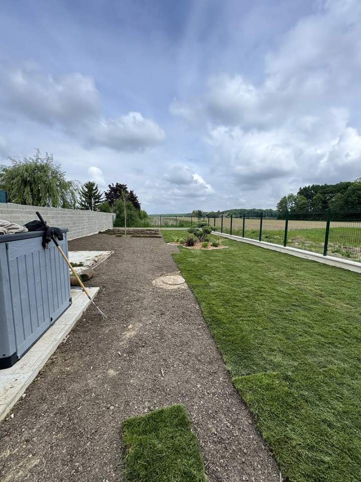 Expert en réfection de pelouse Seine-et-Marne