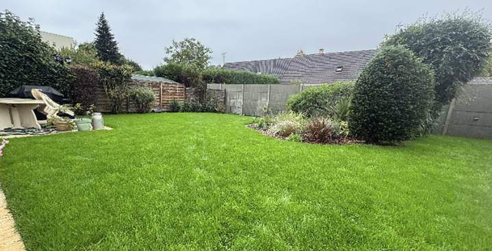 Réfection de pelouse Seine-et-Marne